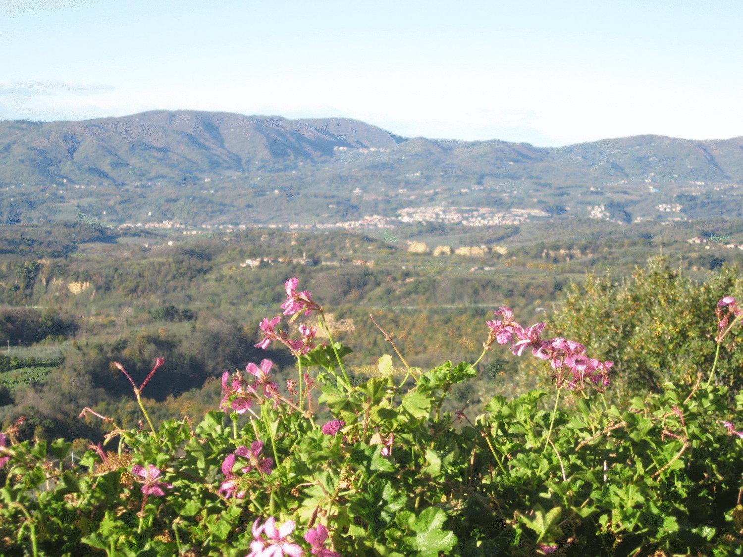 Agriturismo La Capitata Pian di Scò Kültér fotó