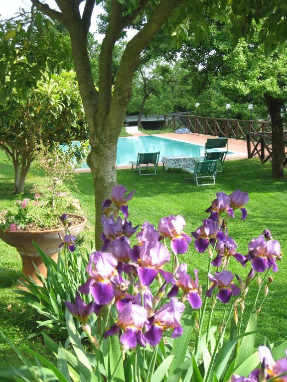 Agriturismo La Capitata Pian di Scò Kültér fotó